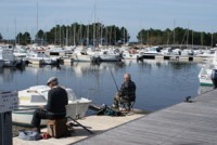 /album/galerie-de-photos-contact/dsc00956-jpg/